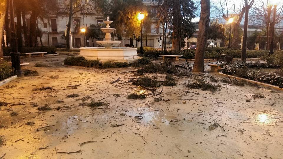 Efectos del vendaval en Cabra el 3 de febrero de 2017.